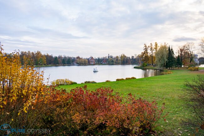 Russia-OCT19-09624 - Pure Odyssey