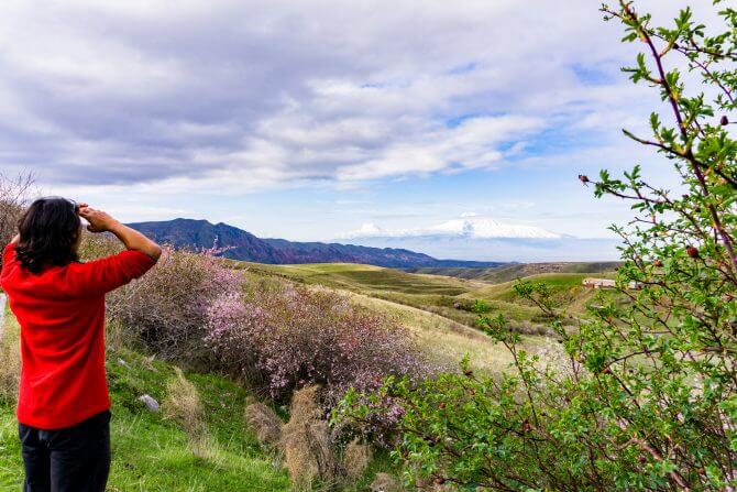 A guy looking towards a meadow