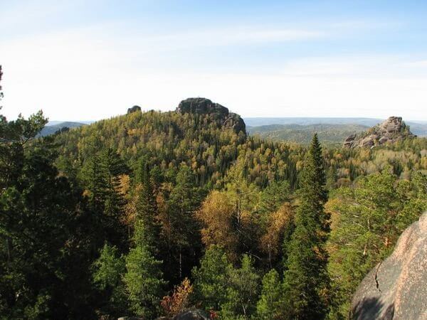 Siberian taiga view from the top of mountain