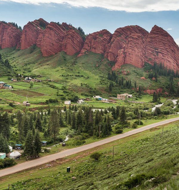 seven bulls in kyrgyzstan for malaysian. tourist visit