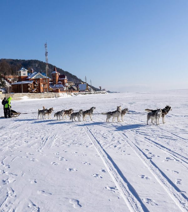 Dog sledging at Listvyanka