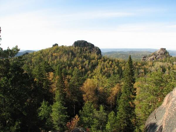 Siberian taiga view from the top of mountain