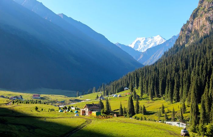 green beautiful valley