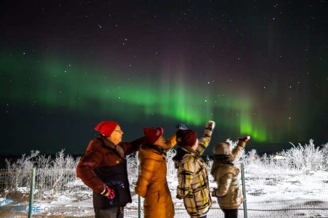 Russia-nelsons-00652 - Pure Odyssey