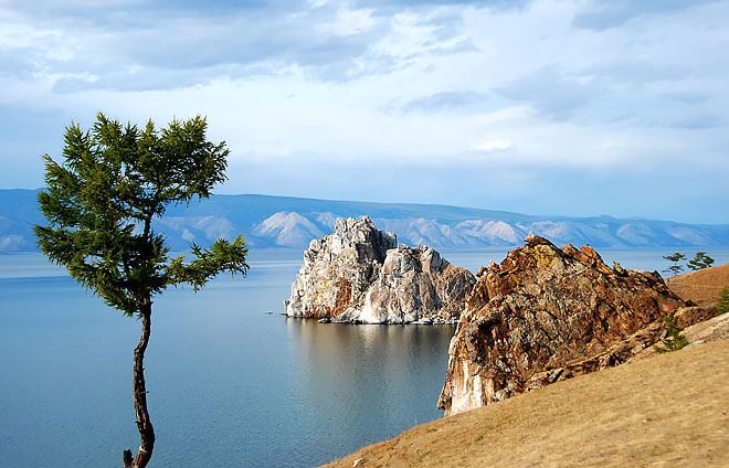 lake baikal in summer with tree near the shore